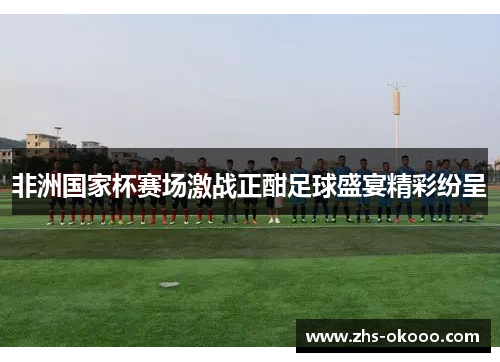 非洲国家杯赛场激战正酣足球盛宴精彩纷呈