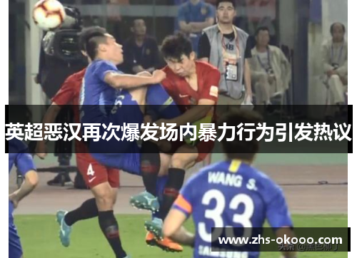 英超恶汉再次爆发场内暴力行为引发热议